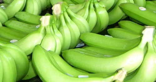Organic Banana Packaging and Marketing